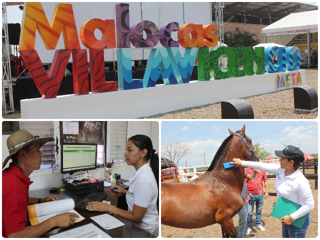 Feria Expomalocas  