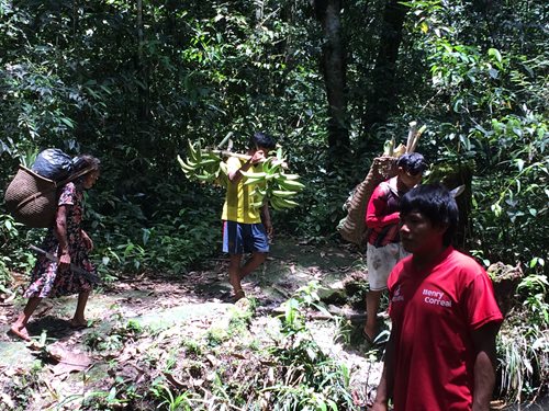 ICA-realiza-inspeccion-a-cultivos-en-las-comunidades-indigenas-del-Vaupes-2.JPG
