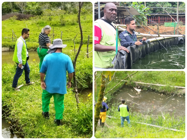 El ICA realiza control a la producción acuícola del Chocó para prevenir la presencia de enfermedades 