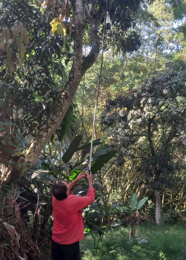 Foto-ICA-Educomunicacion-con-productores-fruticolas-1.jpg Foto-ICA-Educomunicacion-con-productores-fruticolas-1.jpg