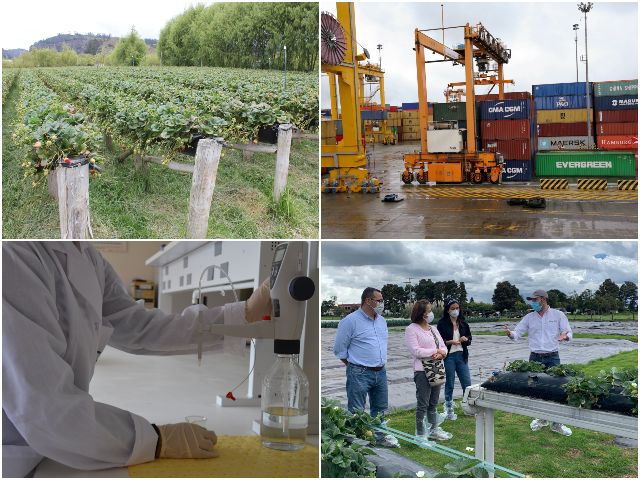 2 años trabajando por el campo. 