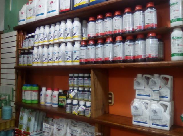 En Chocó, el ICA realiza vigilancia y control a la ilegalidad de los insumos agropecuarios