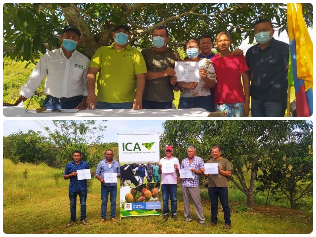 Productores de Sucre le apuestan a las buenas prácticas agrícolas 