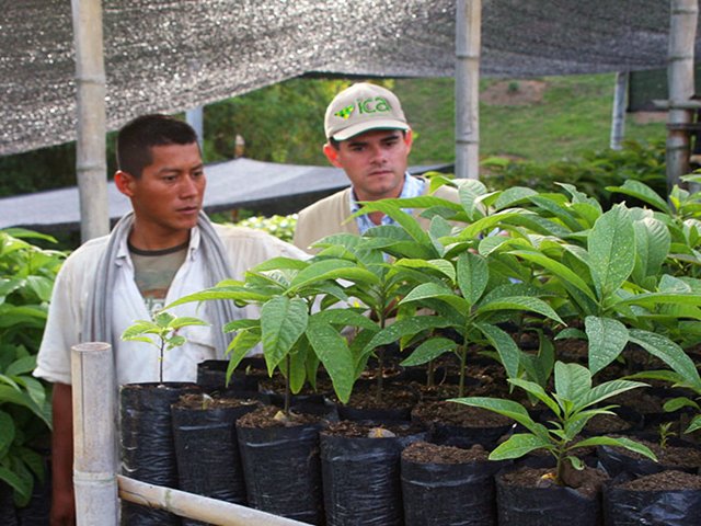 El ICA incentiva en los agricultores del Magdalena las Buenas Prácticas Agrícolas