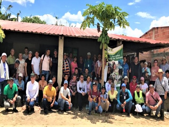 El ICA, el BID y la Alianza Bioversity International – CIAT, hacen equipo por los cultivos de plátano y banano en Norte de Santander