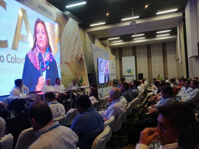 “La semilla es el pilar de la producción agrícola nacional”: ICA