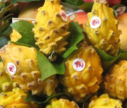 Colombia inicia exportaciones de pitahaya en rodajas a Estados Unidos