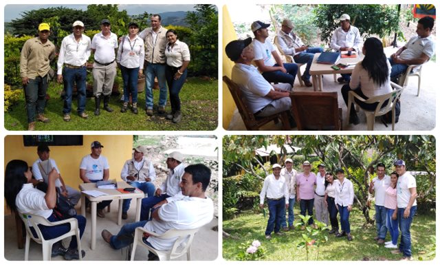 Cacaoteros del Cesar le apuestan a las Buenas Prácticas Agrícolas