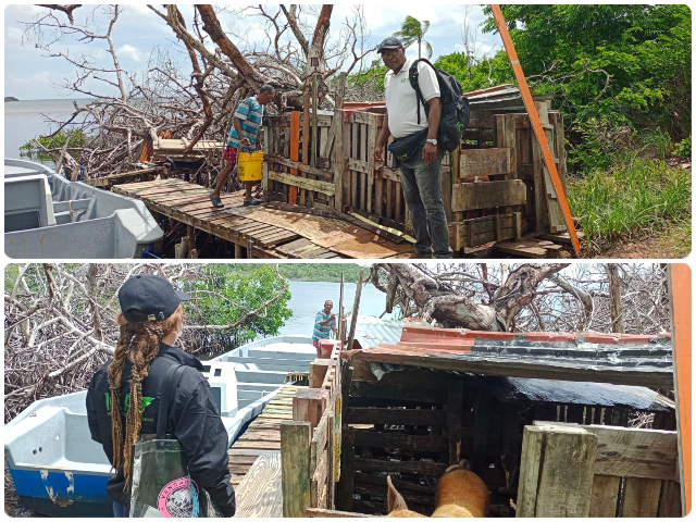 El ICA en San Andrés ejerce acciones sanitarias para proteger la producción pecuaria 
