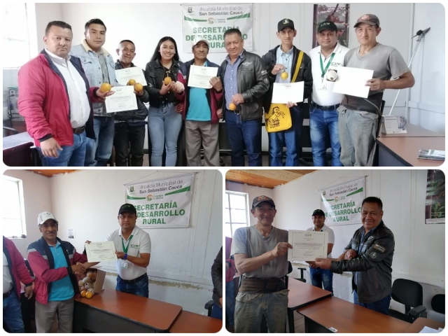 Productores de granadilla del Cauca certificaron sus predios en Buenas Prácticas Agrícolas