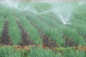 Ante-cambios-bruscos-en-las-temperaturas-el-ICA-alerta-a-productores-agropecuarios-en-todo-el-pais-2-1.JPG