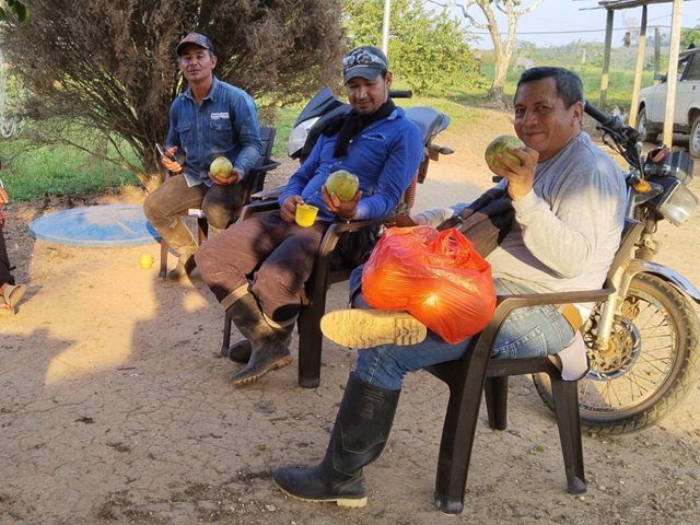 ICA fortalece la producción de material vegetal en La Macarena, Meta