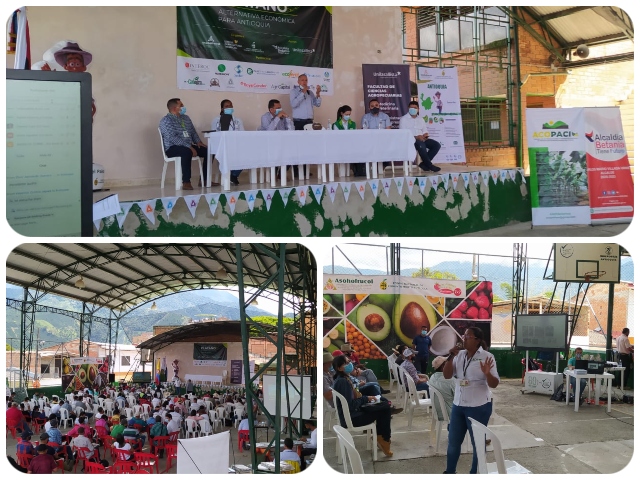 Productores de plátano del suroeste antioqueño se capacitan en protocolos de bioseguridad para prevenir el Fusarium R4T