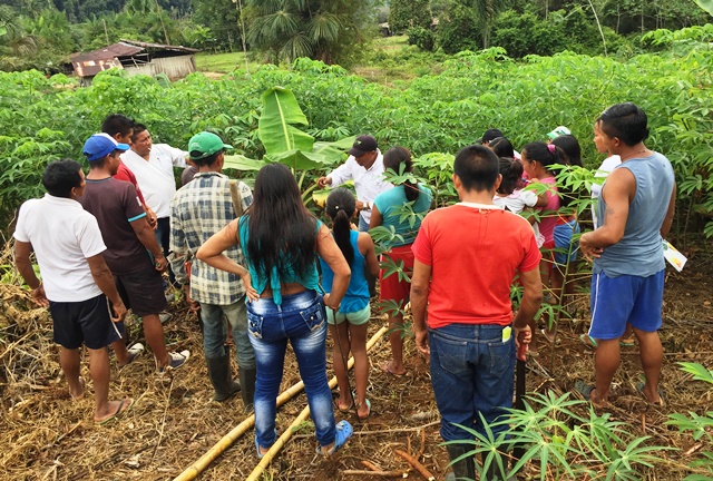 En Vaupés, el ICA hace presencia en las comunidades indígenas para fortalecer la producción agrícola del departamento