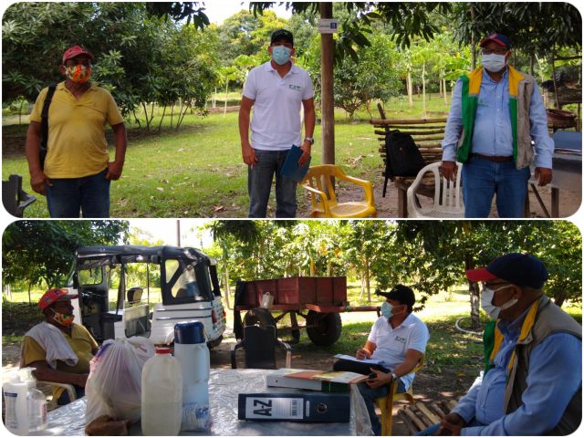 Productores de mango del Magdalena se certifican en buenas prácticas 