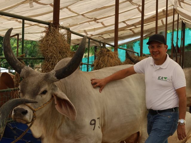 Feria Agropecuaria de Sincelejo.