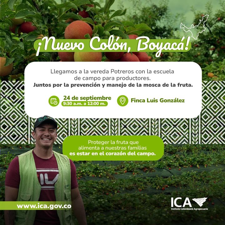 ICA-NUEVO-COLON.jpeg