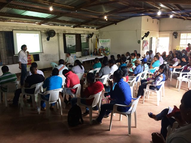 Agricultores de Vaupés se capacitan en Buenas Prácticas Agrícolas, BPA