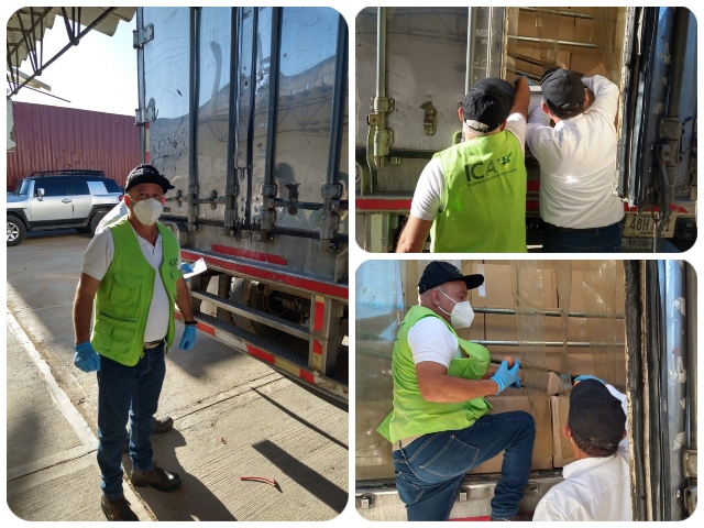 Inspección, vigilancia y control a las exportaciones