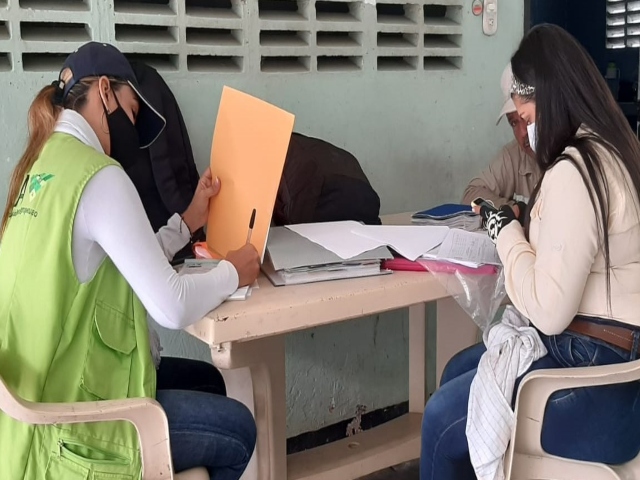 Predios palmeros del Cesar son registrados ante el ICA