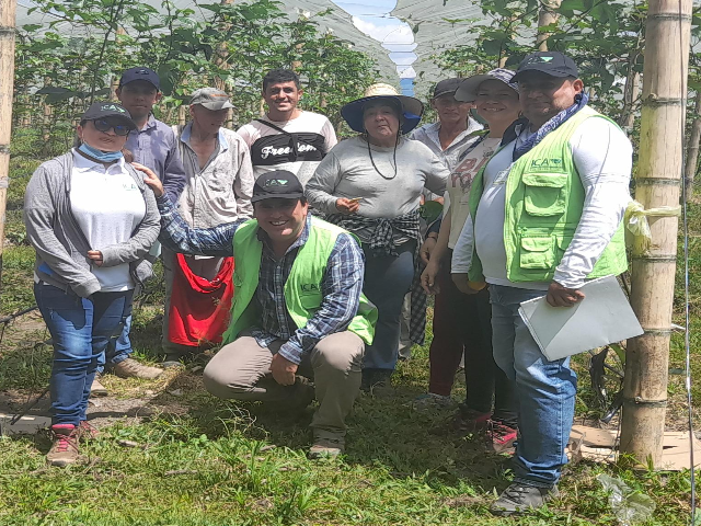 Alianza productiva para establecimiento de una hectárea de maracuyá en Quimbaya, Quindío  