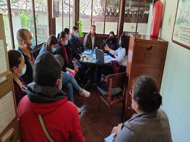 Reunión moscas Pamplona