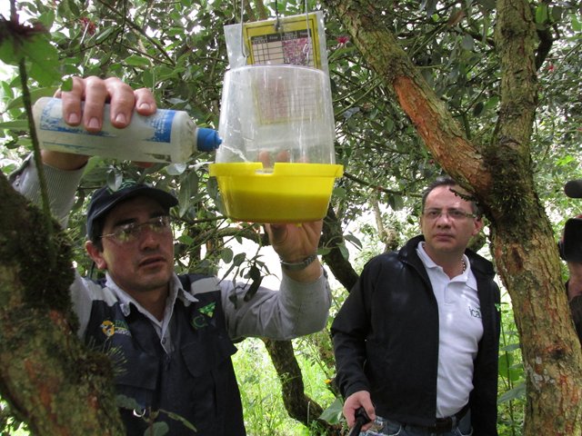 Consultores del BID, resaltan potencial agrícola de Colombia.
