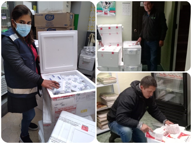 En el Nariño, el ICA realiza supervisión a las vacunas contra la fiebre aftosa y la brucelosis bovina
