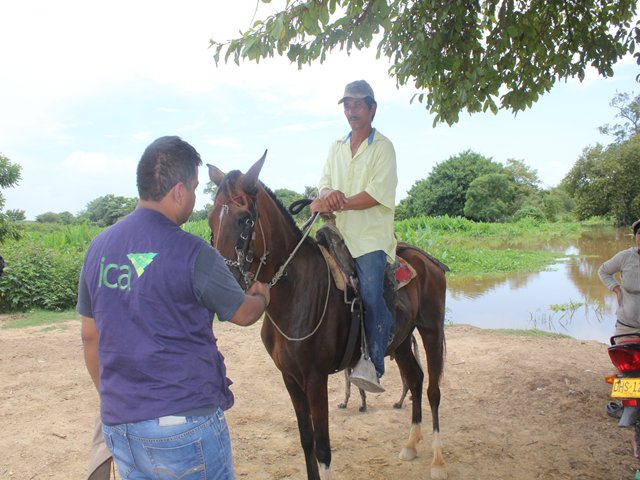  El ICA y autoridades de Becerril y Codazzi unen esfuerzos para controlar la Encefalitis Equina Venezolana