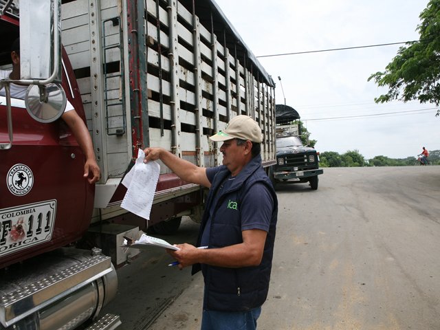 Los ganaderos deben registrar o actualizar los predios pecuarios