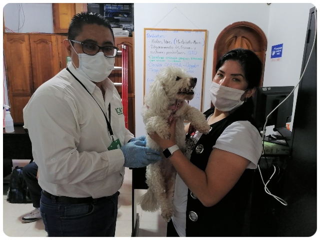 Inspección de mascotas en PAPF Amazonas.
