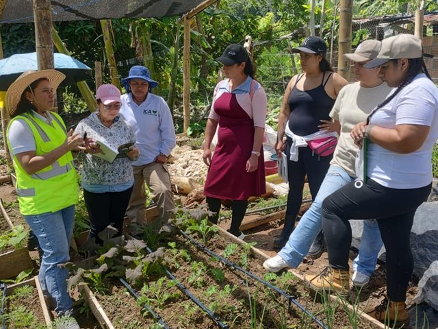 Estrategia de Extensión Fitosanitaria del ICA impulsa la productividad y soberanía alimentaria de las mujeres rurales en Antioquia