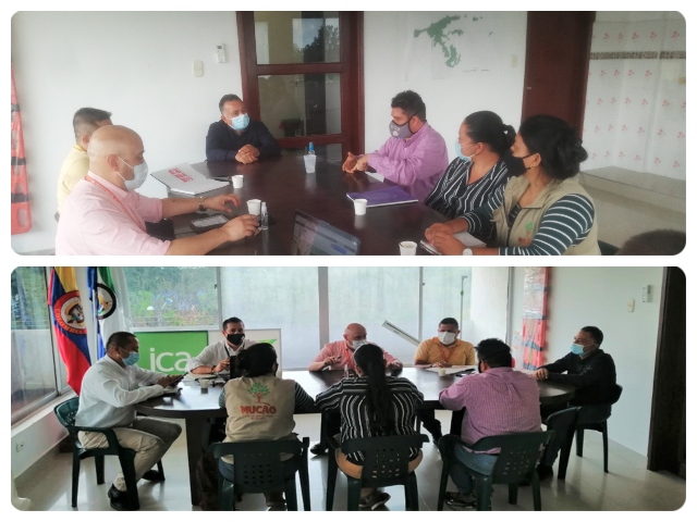 Trabajo interinstitucional para certificar en Buenas Prácticas Agrícolas a productores de caco del Guaviare