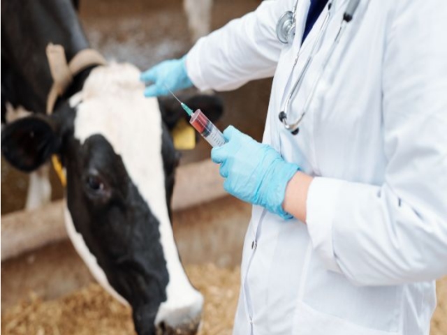 Uso responsables de los antimicrobianos 
