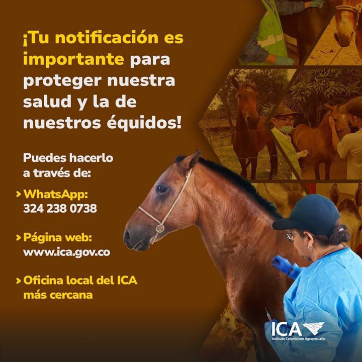 Notificacion.jpeg Notificacion.jpeg