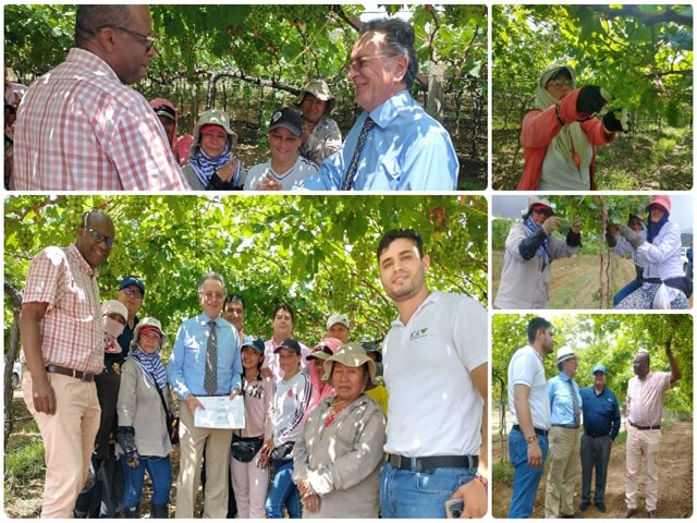  El ICA inicia procesos de certificación en Buenas Prácticas Agrícolas en el Valle del Cauca 