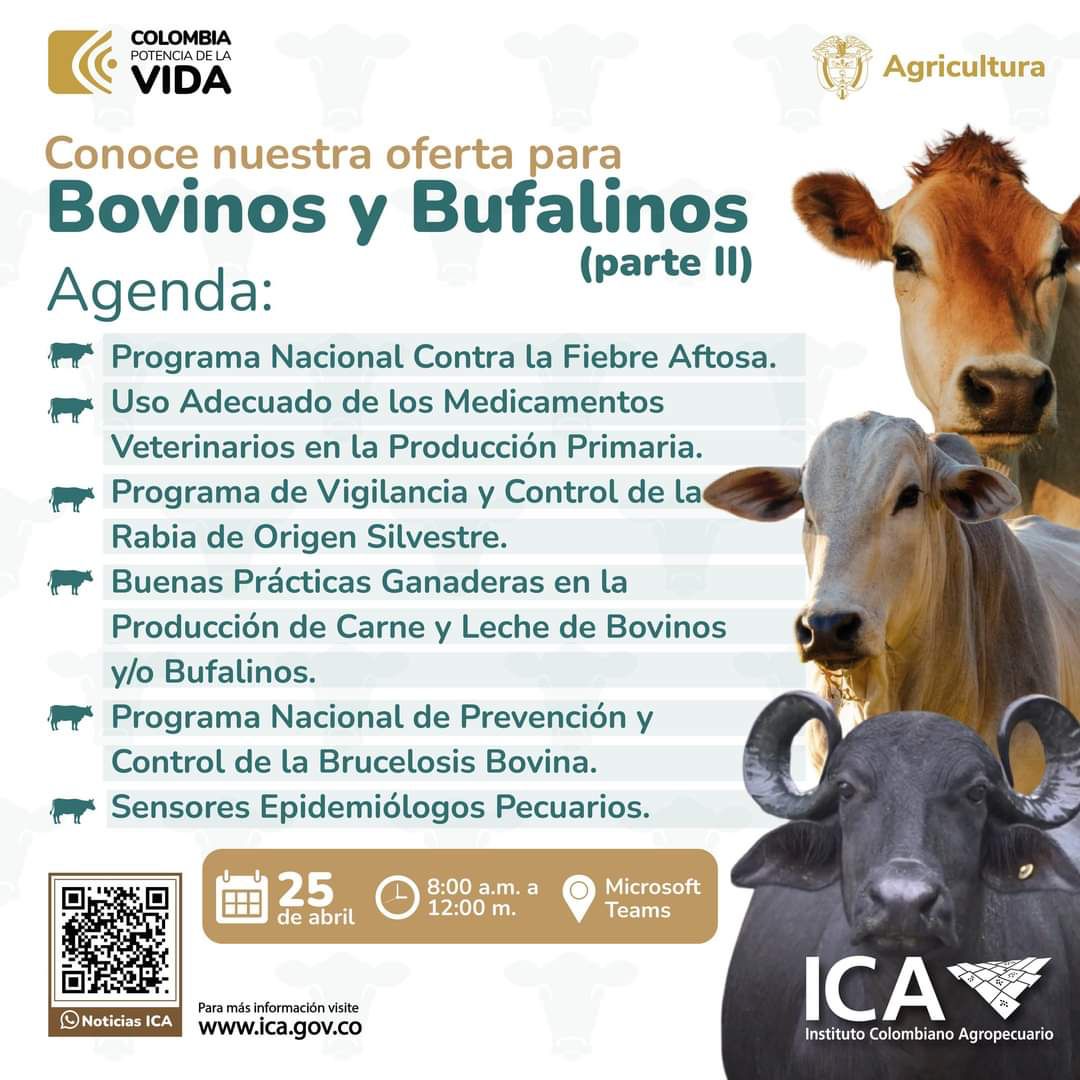 BOVINOS-Y-BUFALINOS.jpeg BOVINOS-Y-BUFALINOS.jpeg