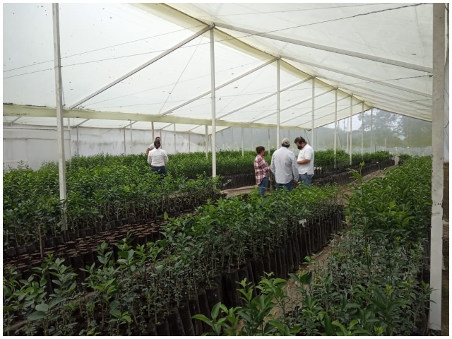 El ICA entrega el primer registro bajo la resolución de Casa Malla a vivero productor de cítricos en Risaralda