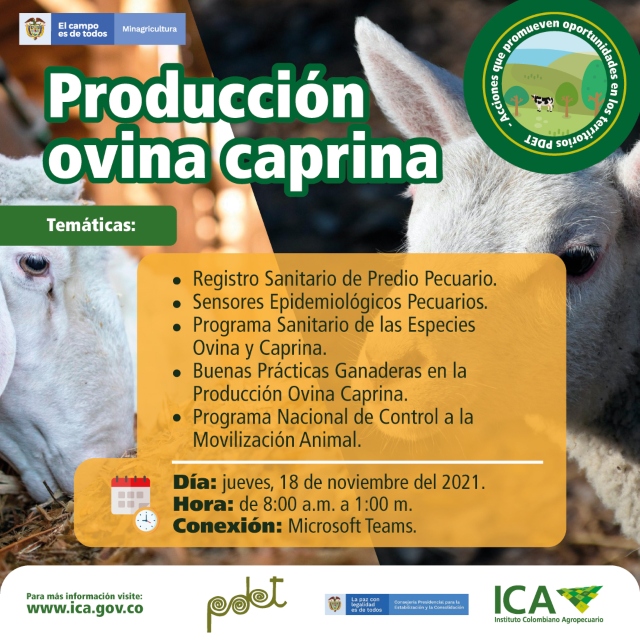 Campana-PDET-Produccion-Ovina-Caprina.jpg Campana-PDET-Produccion-Ovina-Caprina.jpg