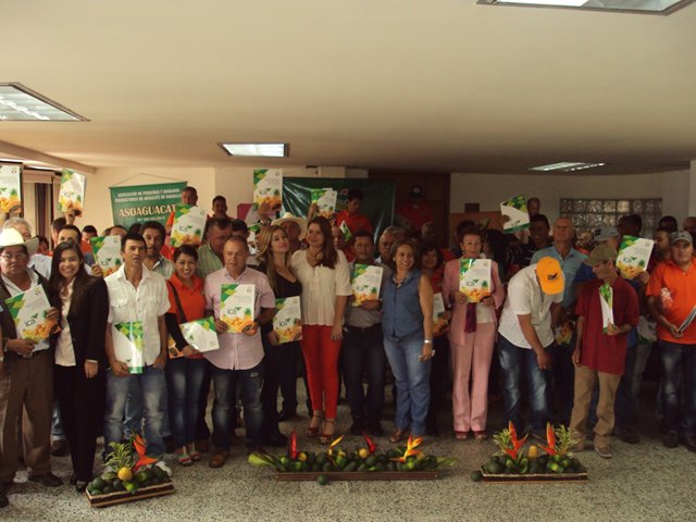 Productores de aguacate hass reciben certificado como predios exportadores 