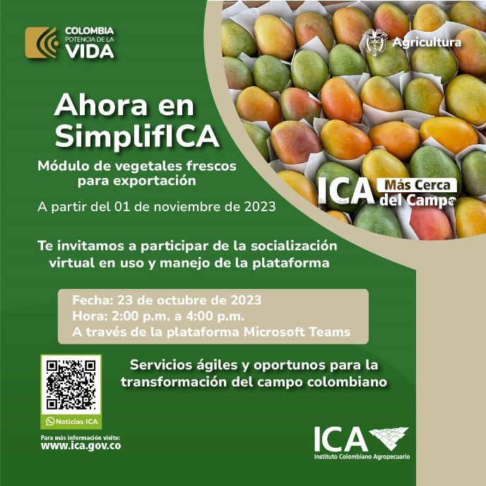 evento-simplifica.jpg