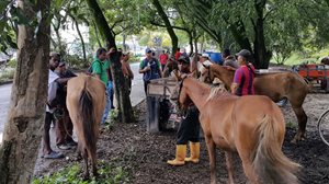 Fotos-Equinos-Valle-3.jpg