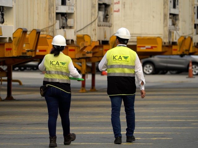 Más de 5.000 solicitudes de exportación e importación de productos agropecuarios han sido atendidas por el ICA ante la contingencia