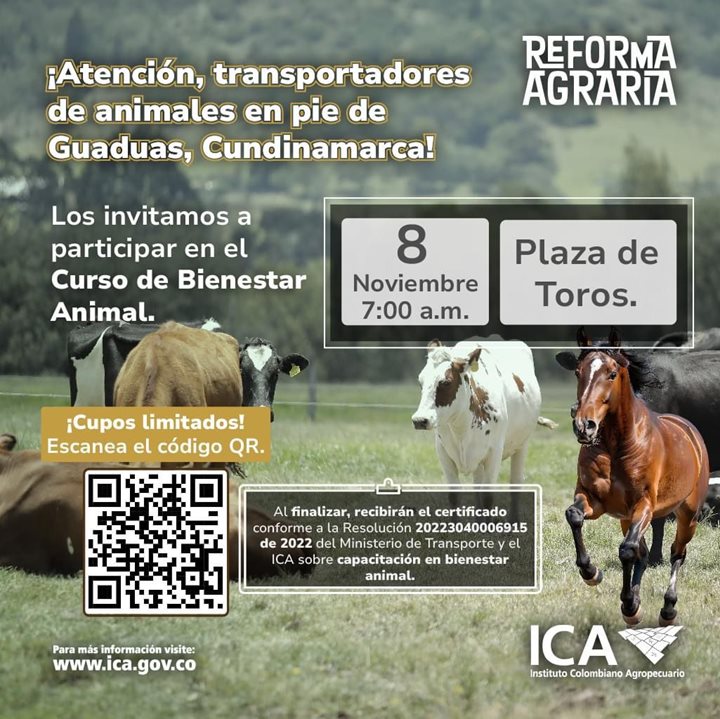 CURSOBIENESTARANIMAL.jpeg