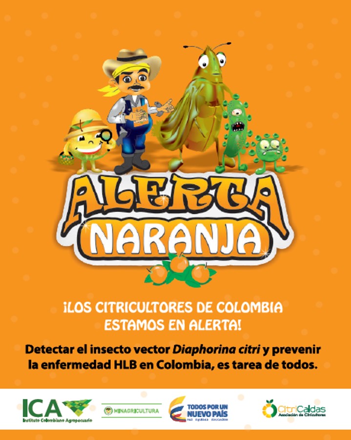 Imagen de Alerta Naranja