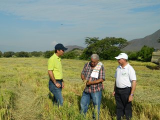 Arroz-en-Badillo-10.JPG