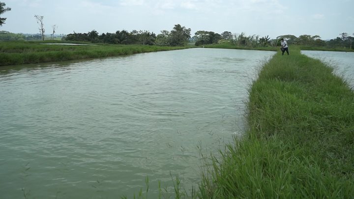 Caqueta-visita-Acuicola-6.jpg