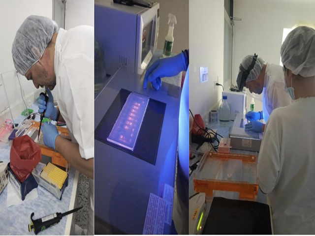 El ICA participa en el Workshop sobre Técnicas Avanzadas de Diagnóstico para la Influenza A en Aves Silvestres