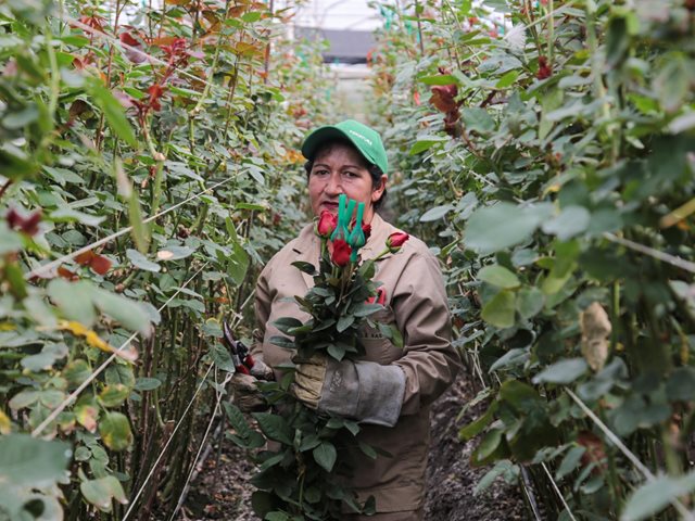 Flores adornan la celebración de San Valentín.