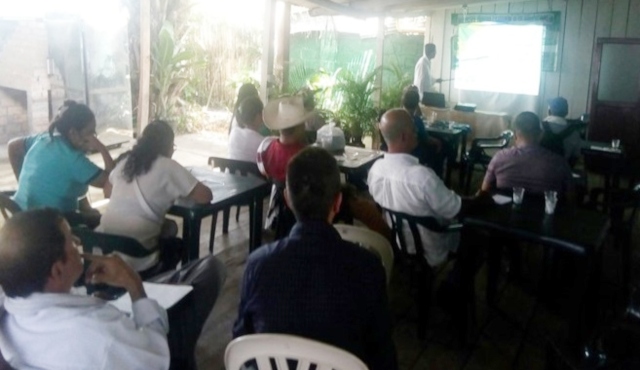 En Caquetá, el ICA trabaja para la sostenibilidad y rentabilidad de los cultivos de plátano 